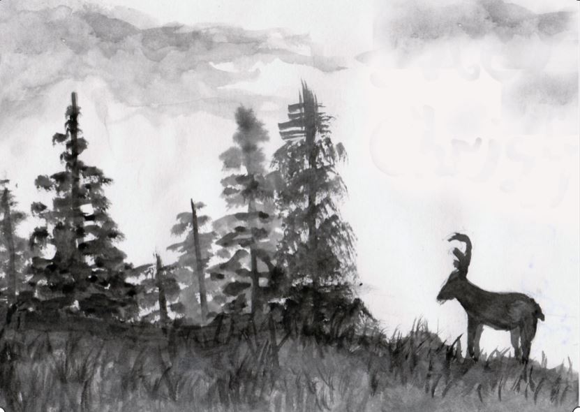 Deer 1112019 Deer 1112019